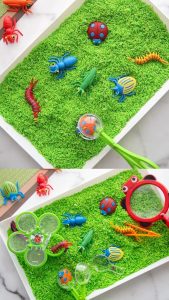 Bacs sensoriels avec L'Ame et l'Autre de Noélie Heinrich. A domicile ou sur Montargis, Amilly, Orléans, Loiret 45 77